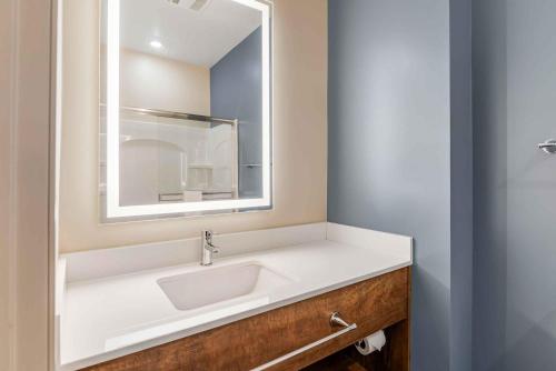 a bathroom with a sink and a mirror at Extended Stay America Premier Suites - Charlottesville in Charlottesville