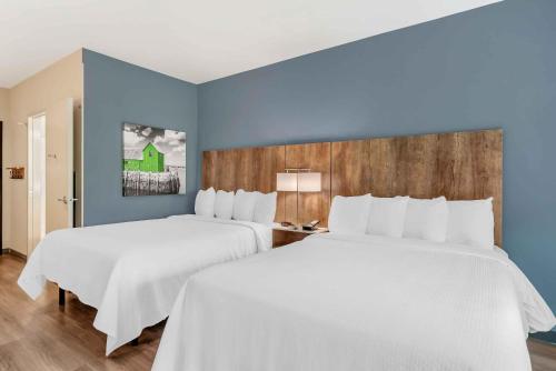 two beds in a room with blue walls at Extended Stay America Premier Suites - Charlottesville in Charlottesville