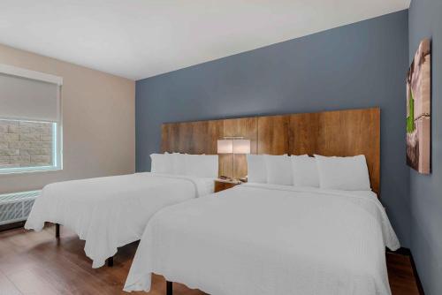 two white beds in a bedroom with blue walls at Extended Stay America Premier Suites - Charlottesville in Charlottesville