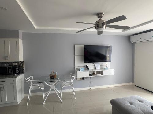 TV/Unterhaltungsangebot in der Unterkunft Large Luxurious Beach Front at Bayfront Villa