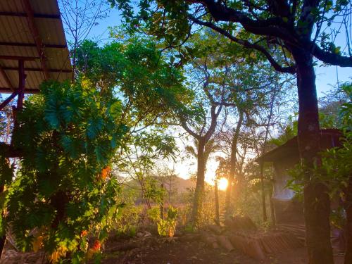 a view of the sun setting through the trees at Tres Corazones in Carrillo