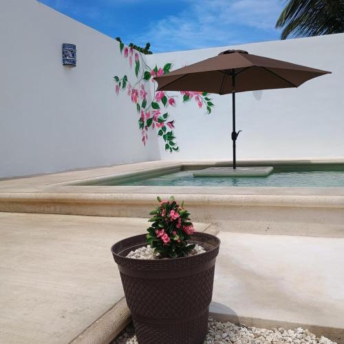 a potted plant with an umbrella next to a pool at Casa Loto D in Chelem