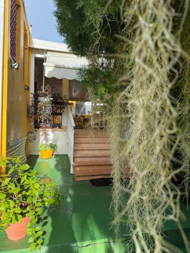 una vista di una casa con un pavimento verde di VILLA SAFRAN a Sainte-Anne