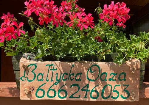 a pot of pink flowers with a sign on it at Bałtycka Oaza in Debina