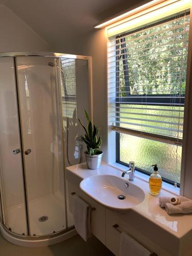 a bathroom with a sink and a shower and a window at Forty9 Steps in Russell