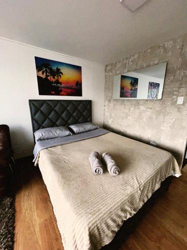 a bedroom with a large bed with two pillows on it at Aparta Estudio Confortable, Lujoso y Comodo en Milan in Manizales