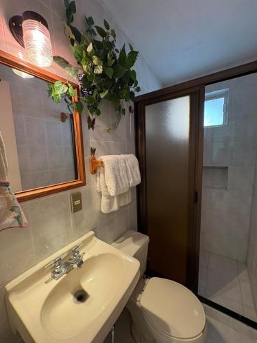 a bathroom with a sink and a toilet and a shower at Fun House Tampiquito in Monterrey