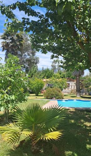 a palm tree in front of a swimming pool at CasaLagoRapel in El Estero