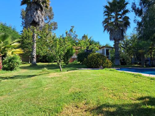 a yard with palm trees and a swimming pool at CasaLagoRapel in El Estero