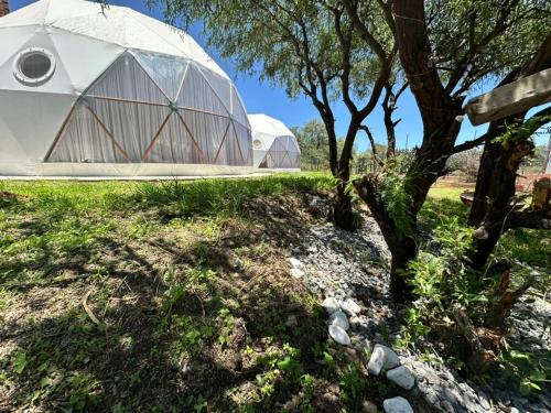 Zahrada ubytování Aldea Hualtepec Glamping