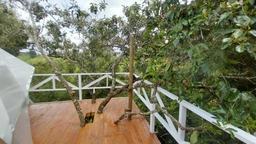 a tree on a white fence on a wooden deck at Glamping Casa Blanca in Bello