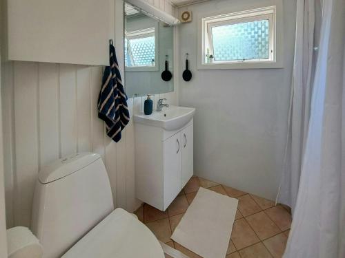 a bathroom with a toilet and a sink and a window at Family Holiday Home Close To Beach At Vejlby Fed in Vejlbyskov