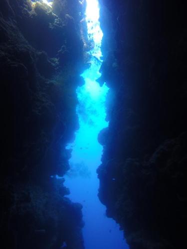 an underwater view of a pool of water at Biorock Homestay & Dive Center Pemuteran in Pemuteran