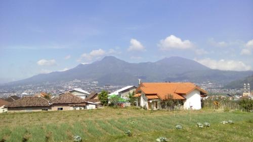 a group of houses on a hill with mountains in the background at Shanty's House in Batu