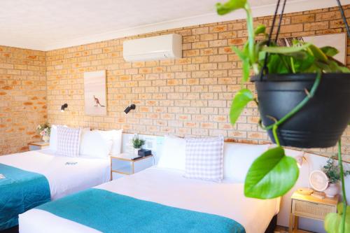 two beds in a hotel room with a potted plant at Kennedy Drive Boutique Motel - Close To City Centre & Airport in Tweed Heads
