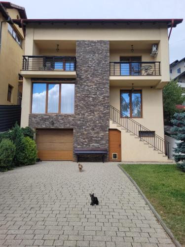 a cat sitting in the driveway of a house at Vila Vati - Arena Pitesti in Piteşti