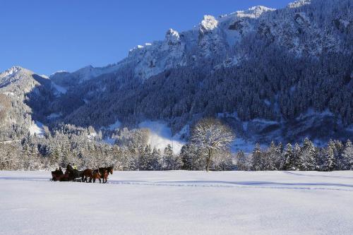 a group of horses running through a snow covered field at King Ludwig's Old Neighbour in Schwangau
