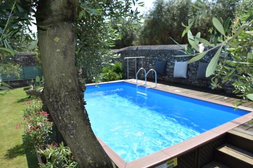 Bouganville – Photos 3