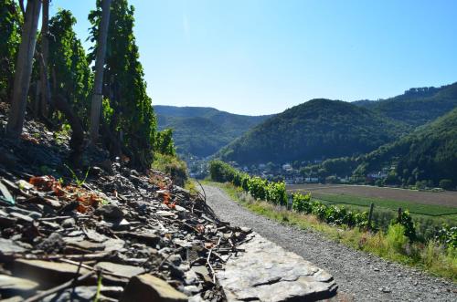 a road leading down a hill with mountains in the background at Jagdhaus Rech - Ahr in Rech