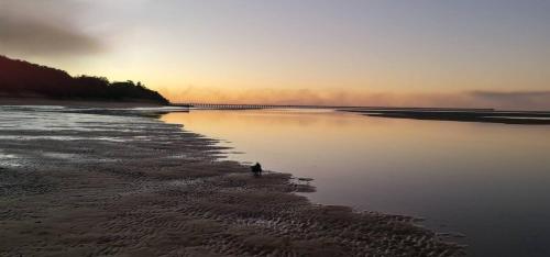 a person walking on the beach at sunset at Large Pool Newly Renovated Apartment Walk to Whale watching and beaches in Urangan