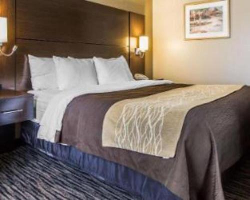 Ένα ή περισσότερα κρεβάτια σε δωμάτιο στο Quality Inn Dayton North - Vandalia