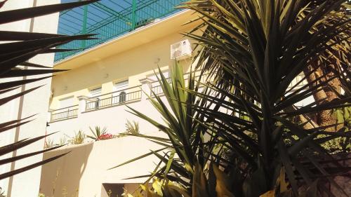 Fotografie z fotogalerie ubytování Villa Obad Guest House v destinaci Neum