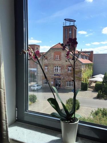 a flower in a vase sitting on a window sill at Hotel Ambiente in Halberstadt