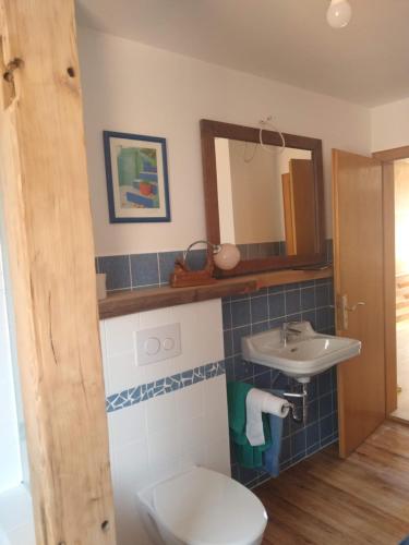 a bathroom with a toilet and a sink at Ferienhaus Wesertal Monteur in Gottstreu