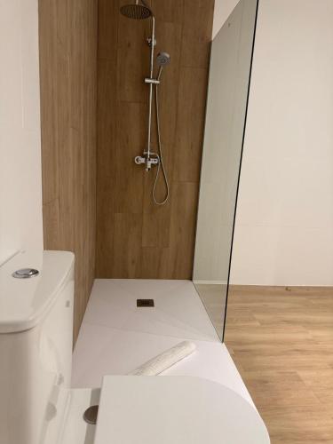 a bathroom with a shower and a toilet at Hotel RL Anibal in Linares