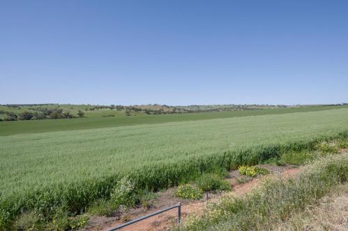 a field of crops with a fence in the foreground at Modern Retreat with Stunning Panoramic Views in Toodyay