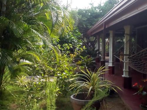 Fotografie z fotogalerie ubytování nalin and song v destinaci Sigiriya