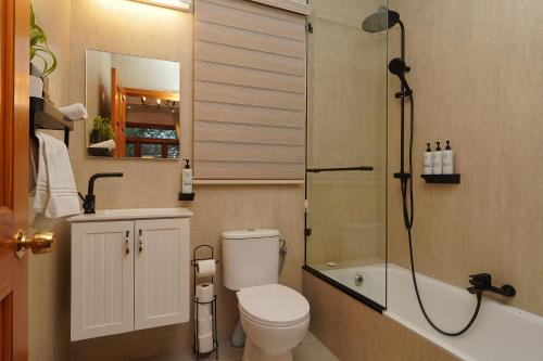 a bathroom with a toilet and a shower at הבית בראש פינה - The House in Rosh Pinna