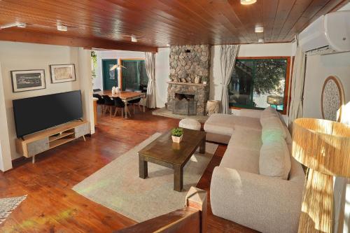a living room with a couch and a tv at הבית בראש פינה - The House in Rosh Pinna