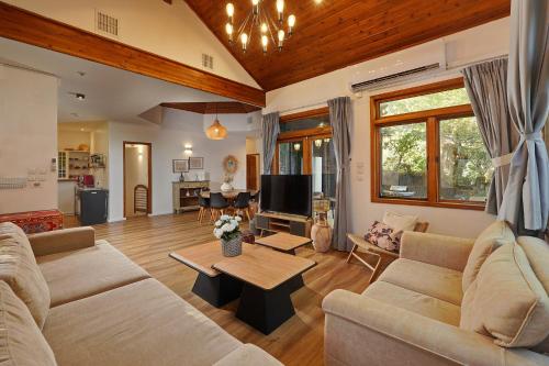 a living room with a couch and a tv at הבית בראש פינה - The House in Rosh Pinna