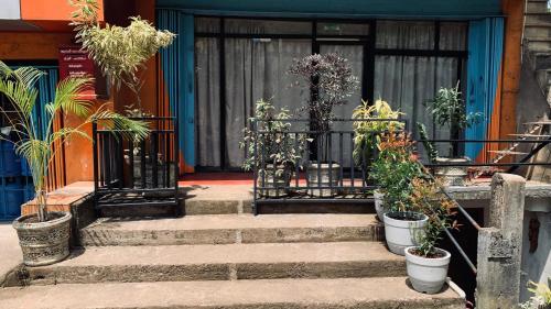 Κήπος έξω από το Nalinda's Homestay