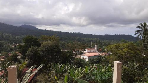 a view of a town with trees and a mountain at Casa Augusto Stunning view in Trindade
