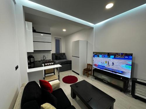 a living room with a large flat screen tv at Vila Calm in Pogradec