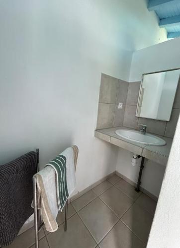 a bathroom with a sink and a mirror at Caravane Chic et Vintage in Urrugne