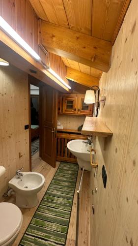 a bathroom with a sink and a toilet in a room at Villa Tersilla in Santo Stefano di Cadore