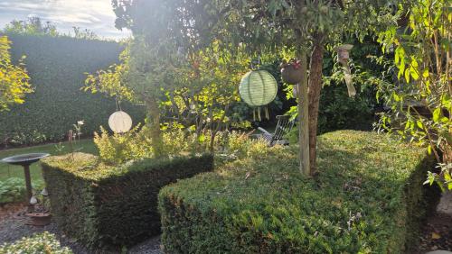 Taman di luar Casa Sibbe with beautiful view