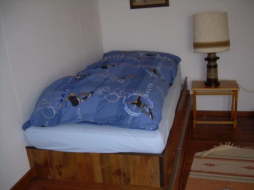 a bed with a blue comforter on top of it at Wohlfühloase für Mensch und Hund in Uzwil