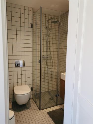 a bathroom with a shower and a toilet and a sink at Ant marių kranto-By the Lagoon Apartments in Preila