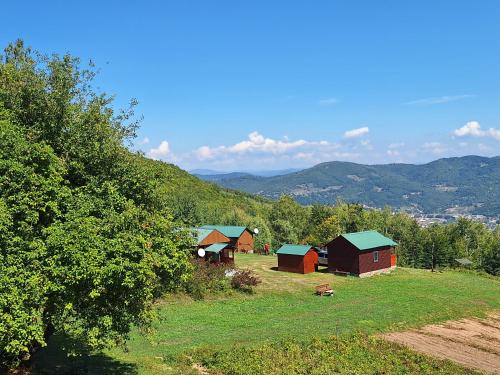 a group of barns on a hill with mountains in the background at Kolibe Ćorić in Mojkovac