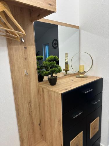 a room with a wooden cabinet with two potted plants at Stylische Ferienwohnung in Salzburg