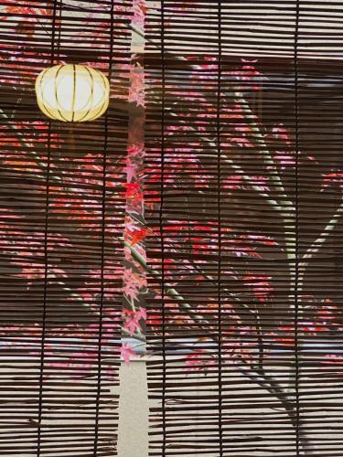 Φωτογραφία από το άλμπουμ του Ryokan Tori στο Κιότο
