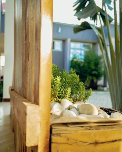 a basket filled with rocks and plants in a room at Advem Villa in Dodoma