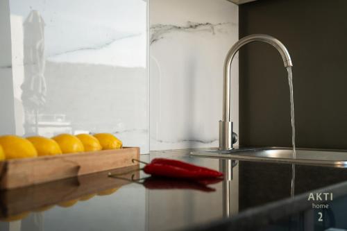 a kitchen with a sink and a bunch of lemons at AKTI Homes Matala in Matala