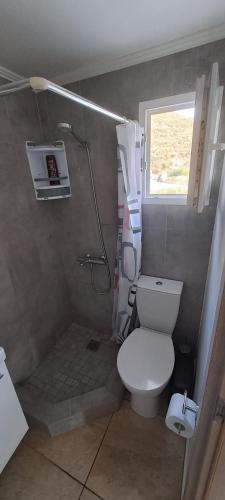 a small bathroom with a toilet and a shower at EVA'S Home in Korissia