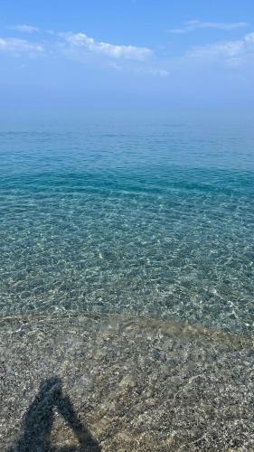 Φυσικό τοπίο κοντά σε αυτή η παραθεριστική κατοικία