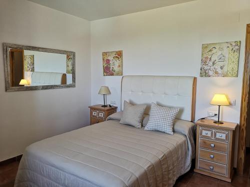 a bedroom with a large bed and a mirror at Mirador de la Campiña in Cazorla